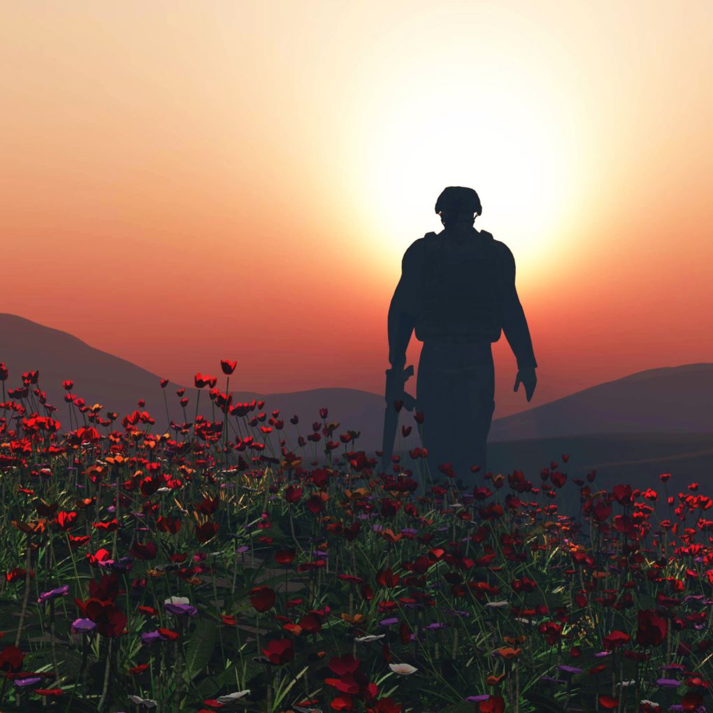 3D render of a soldier walking in a poppy field