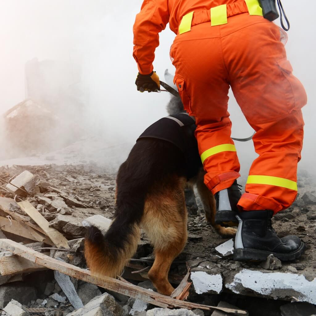 First responder and K-9 searching a building that has collapsed